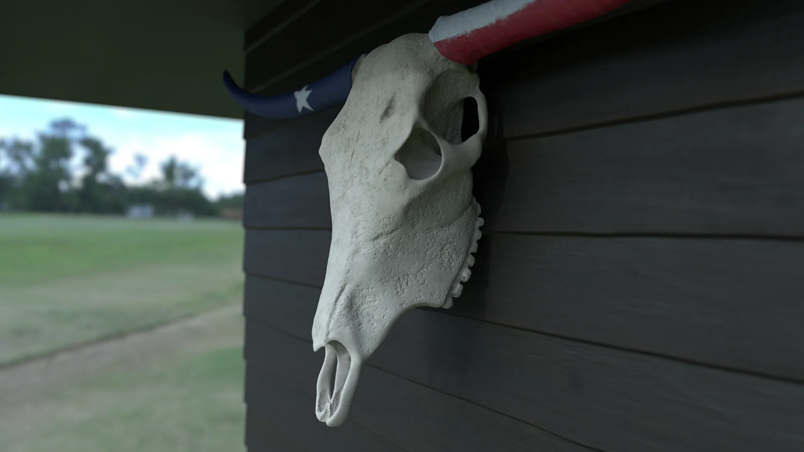 Texas Longhorn Skull screenshot 2