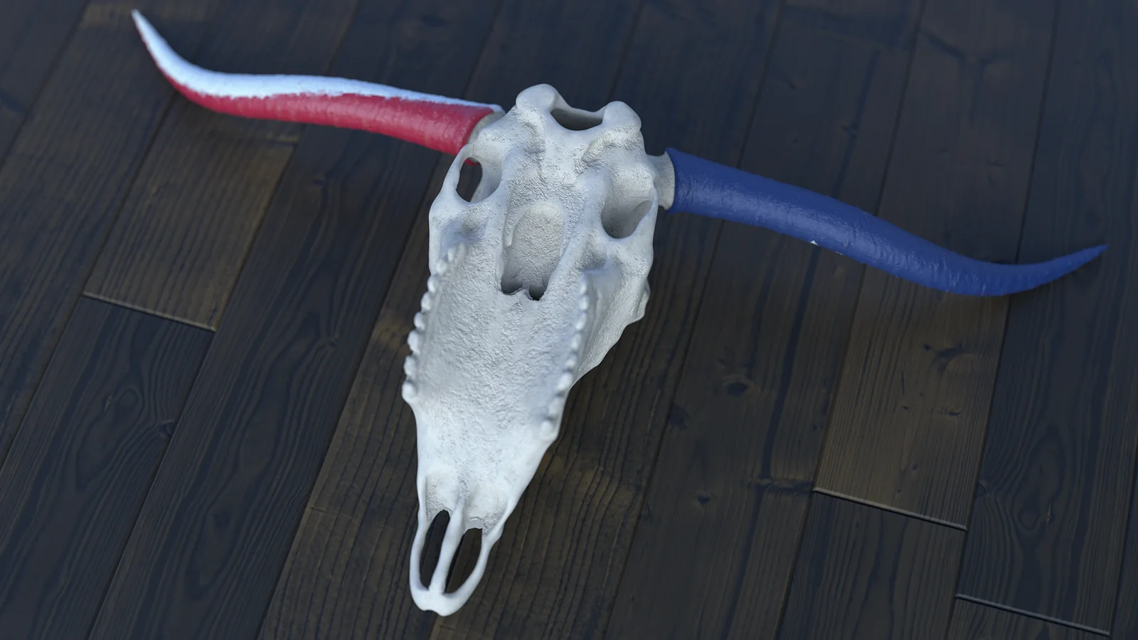 Texas Longhorn Skull screenshot 3