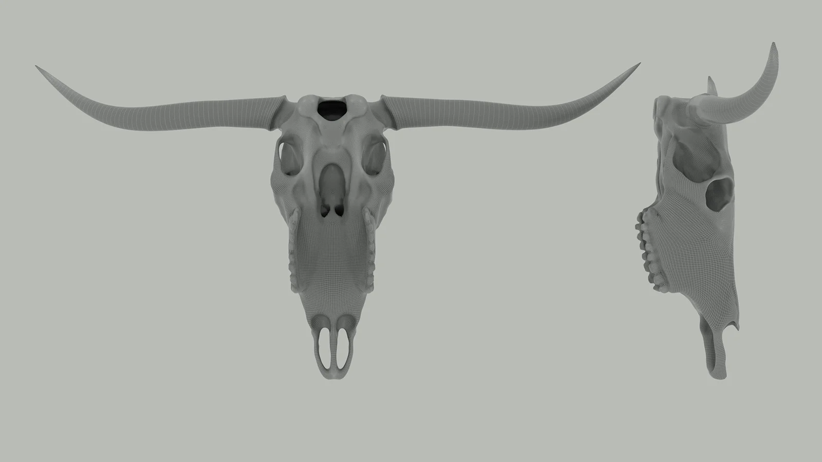 Texas Longhorn Skull screenshot 4