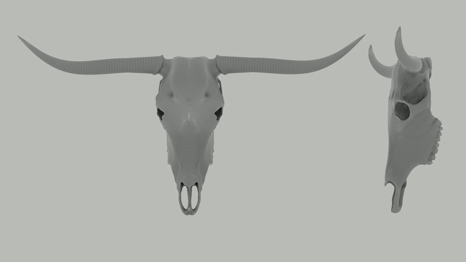 Texas Longhorn Skull screenshot 5