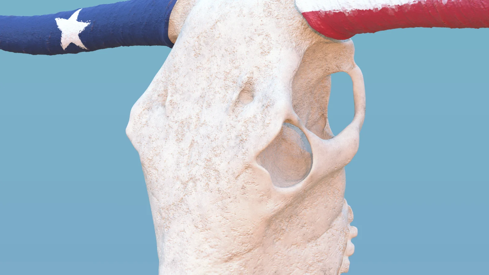 Texas Longhorn Skull screenshot 7