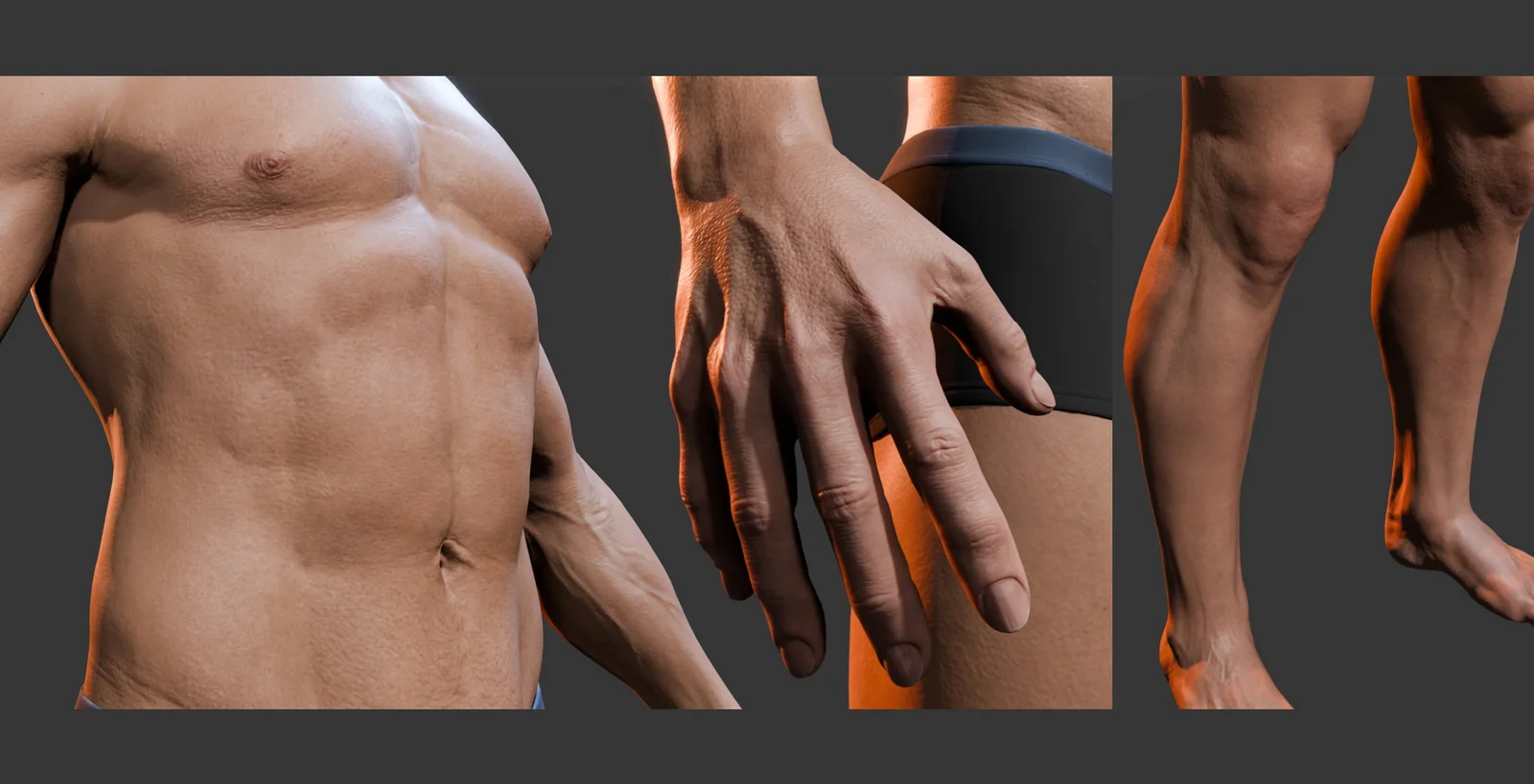 The Human Body in Detail screenshot 4