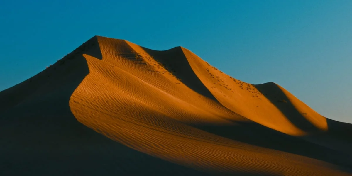 The Nature Generator screenshot 2