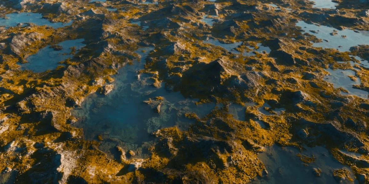 The Nature Generator screenshot 3