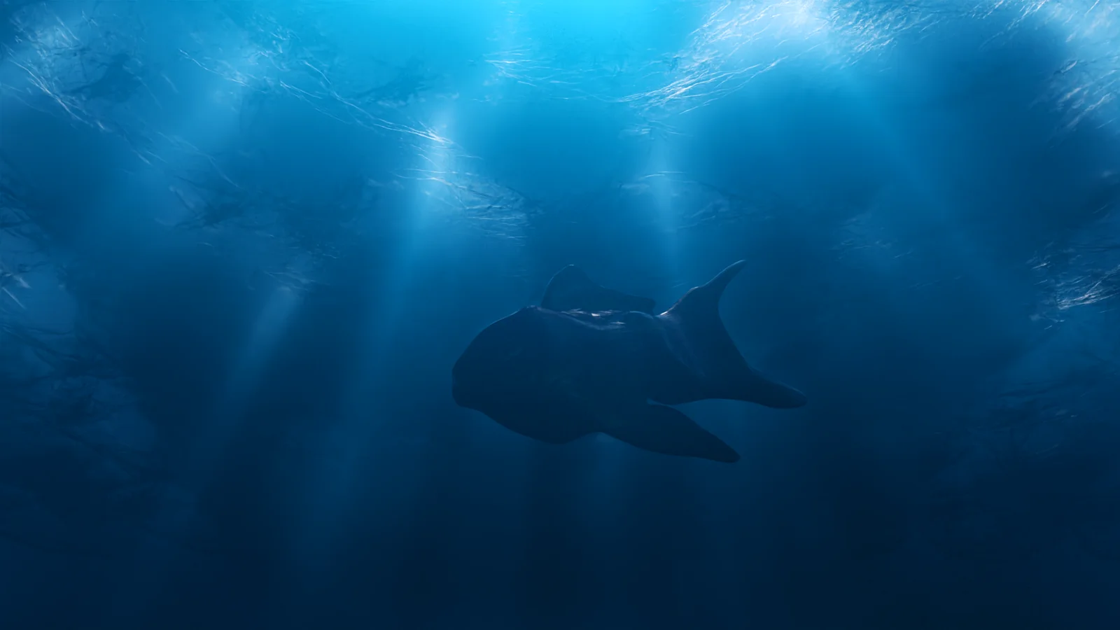 The Ultimate Gobo Pack screenshot 5