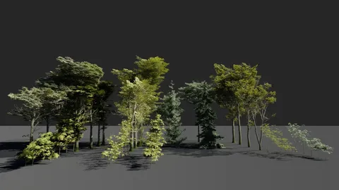 Tree Asset Pack 1 - Blender 3d models