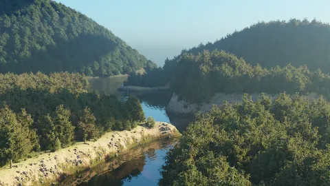 Tree Forge - Blender addons