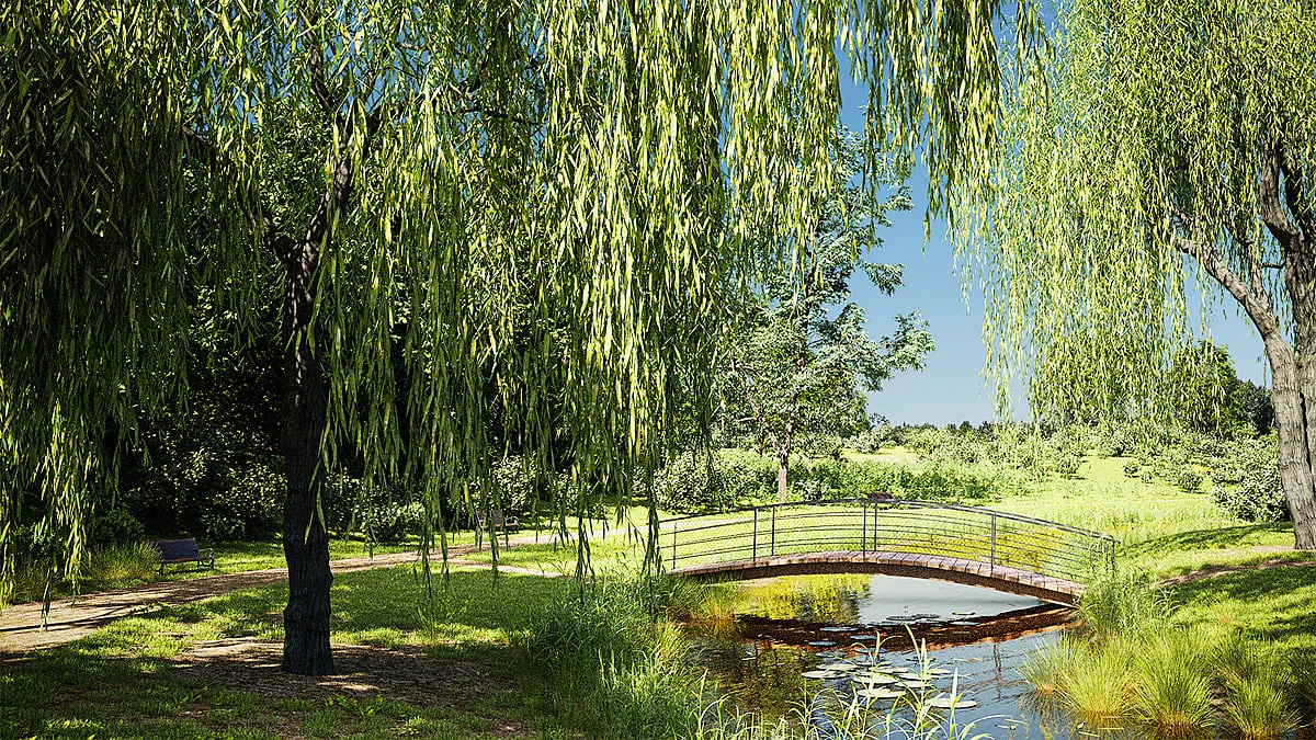 Botaniq Vegetation Library screenshot 4