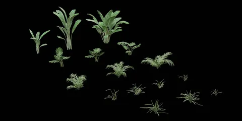 Tropical Plant Pack - Blender 3d models