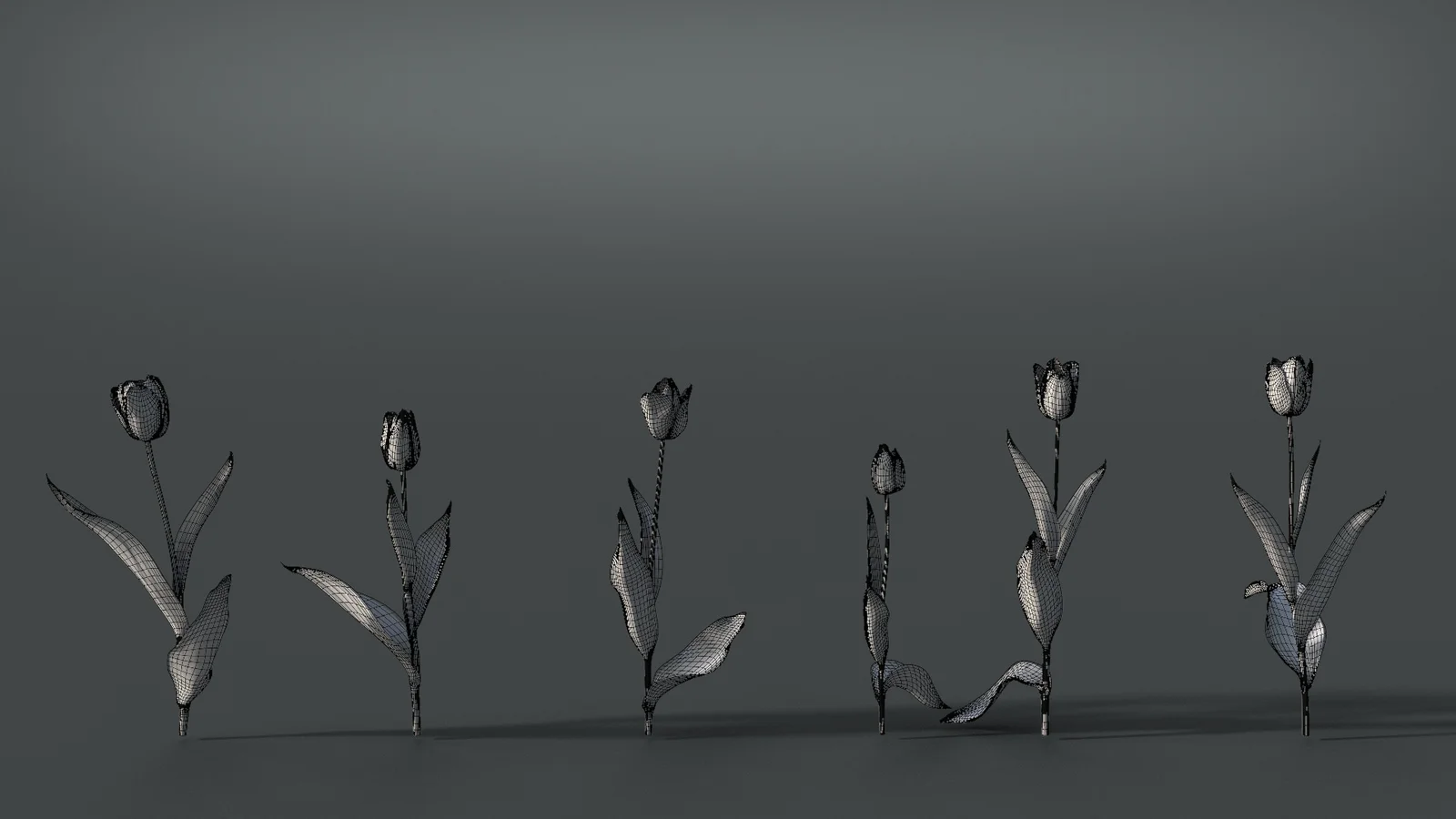 Tulip screenshot 7