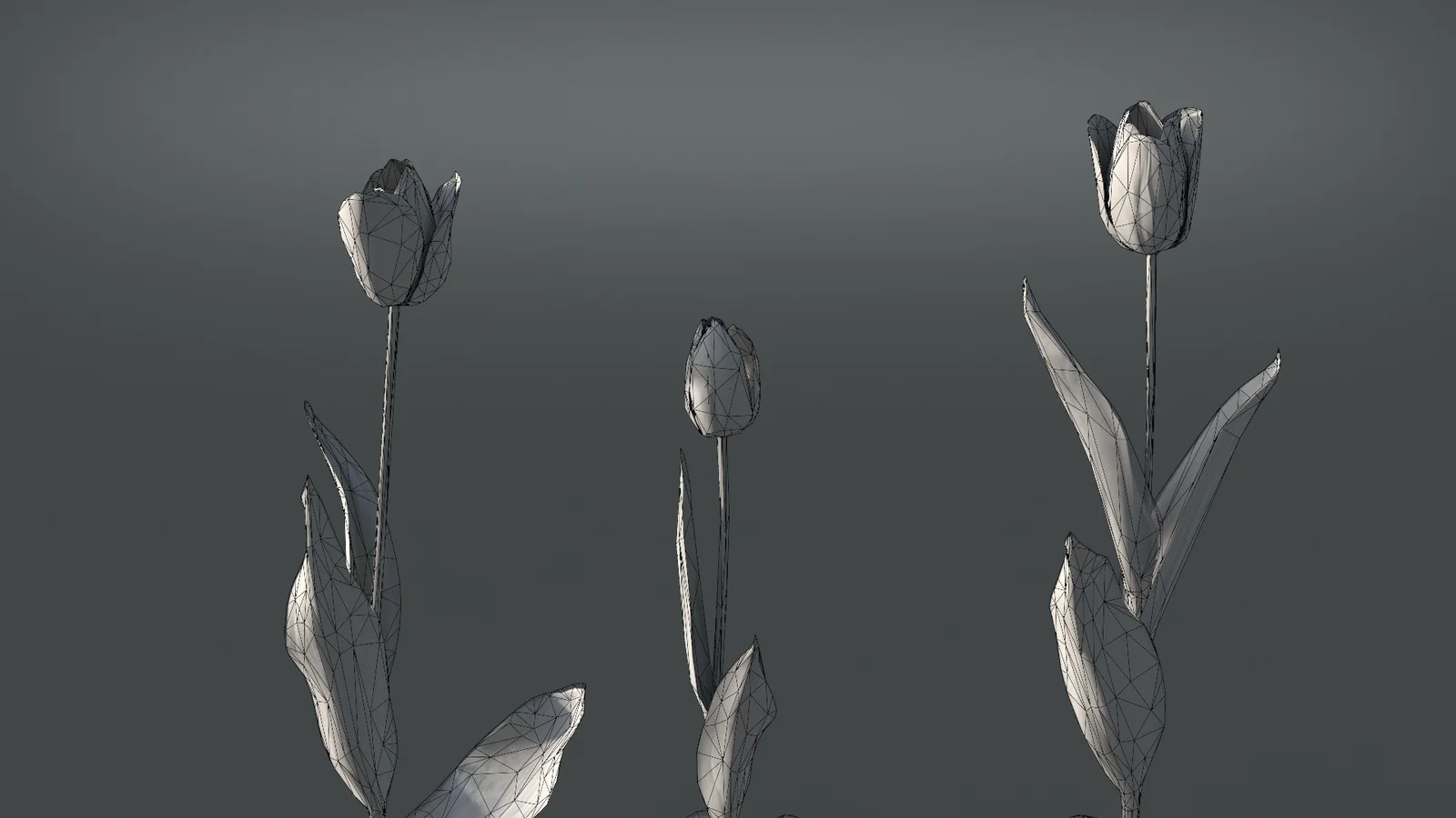 Tulip screenshot 8