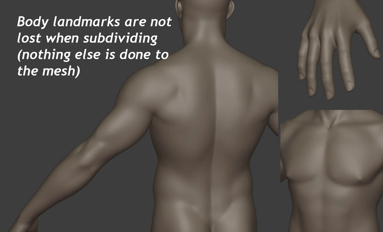 Ultimate Male Basemesh screenshot 5