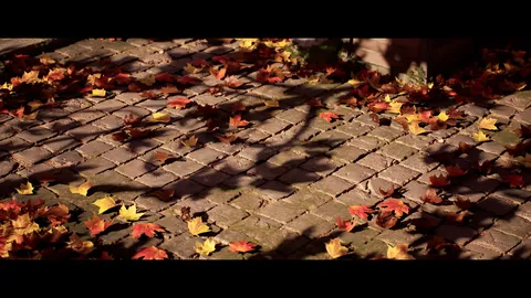 Ultimate Photogrammetry Course - Blender tutorials & courses