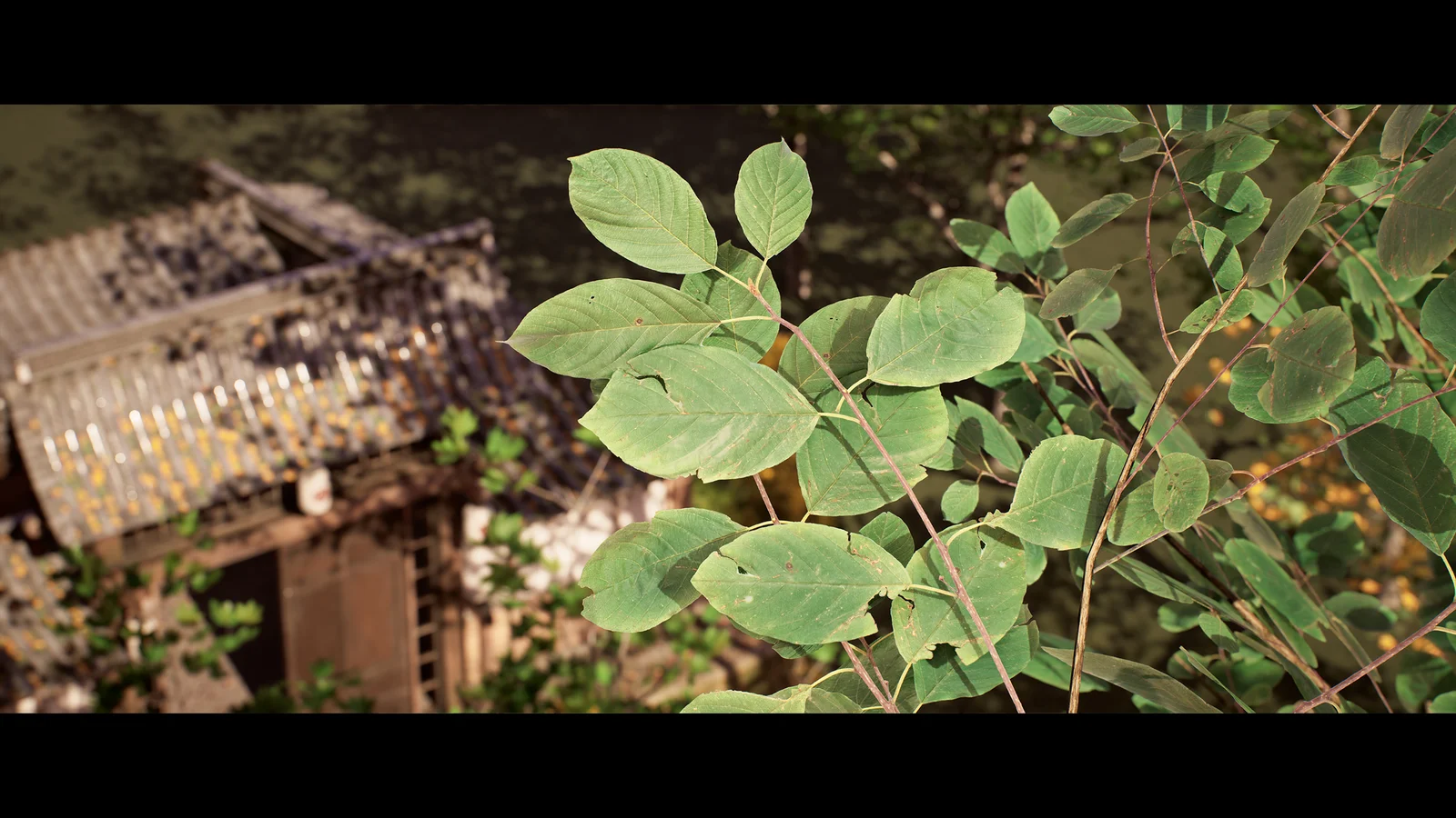 Ultimate Photogrammetry Course screenshot 4