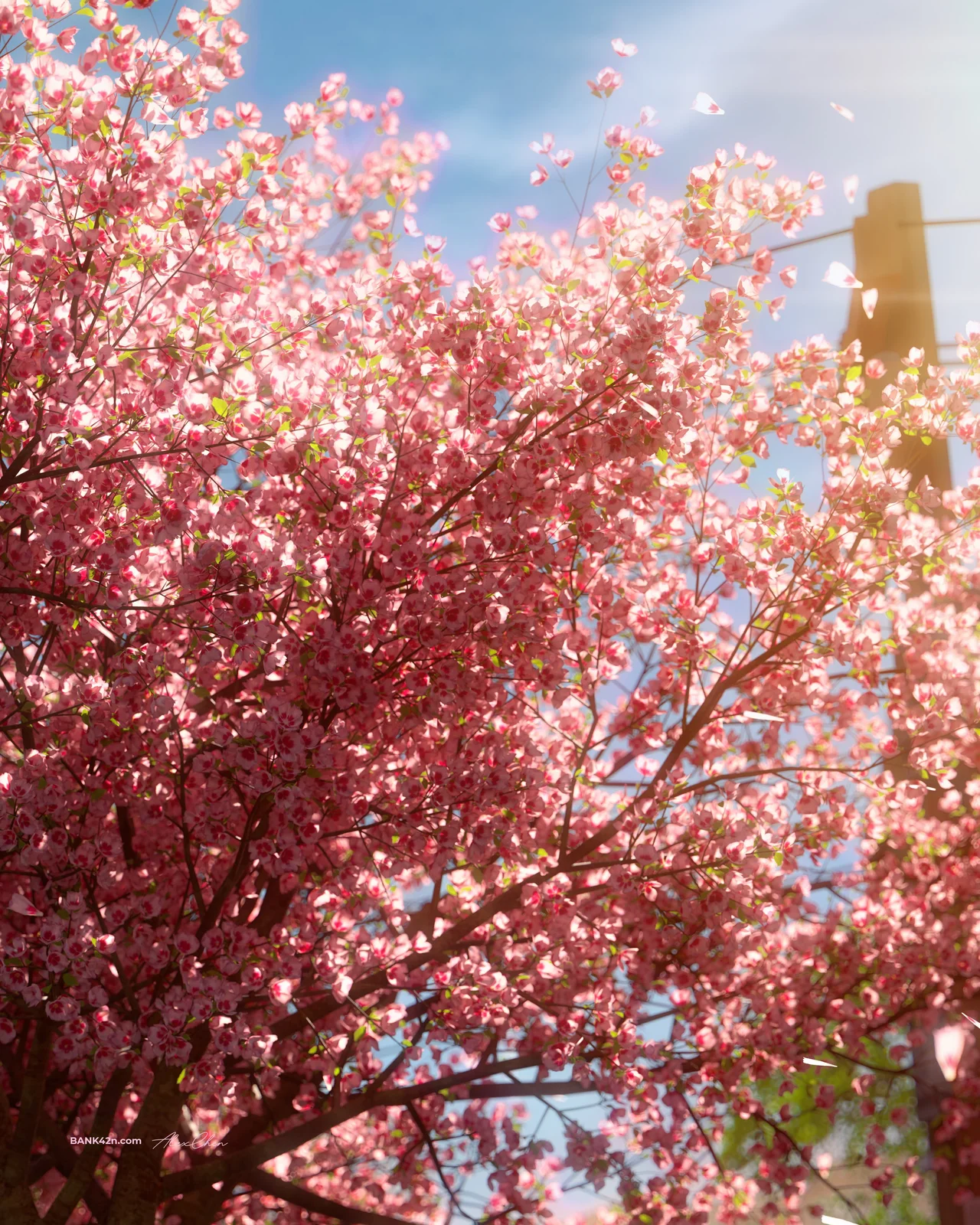 Under the Sakura Tree screenshot 5