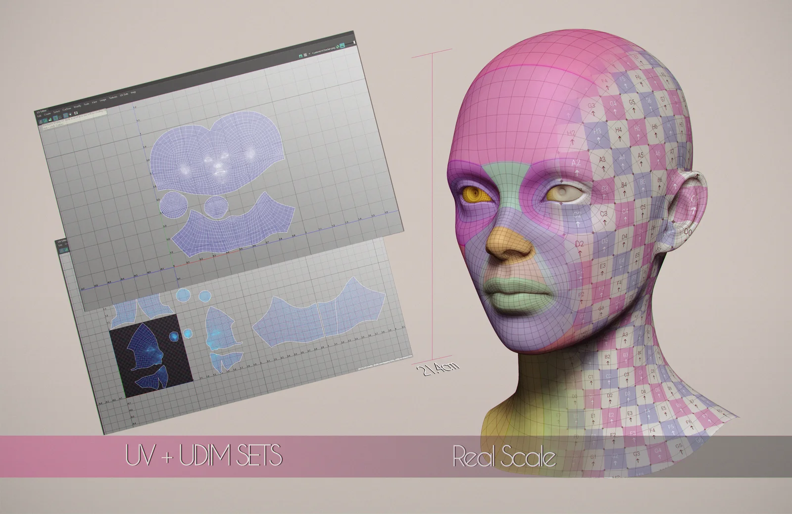 Universal Head Topology screenshot 2