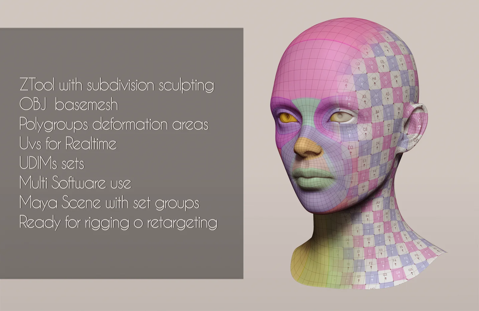 Universal Head Topology screenshot 3