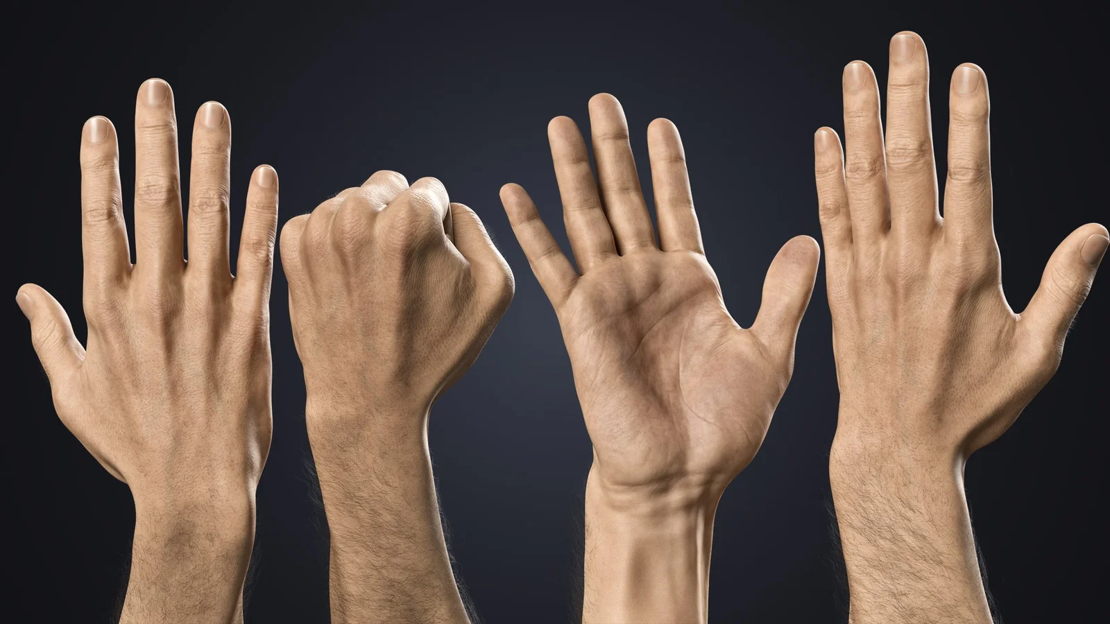 V-ARM 01 Realistic Male Hands screenshot 3