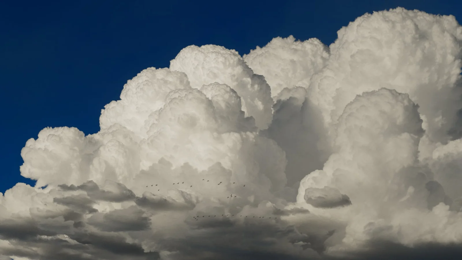 VDB Cloud Pack 2: Cumulus screenshot 3