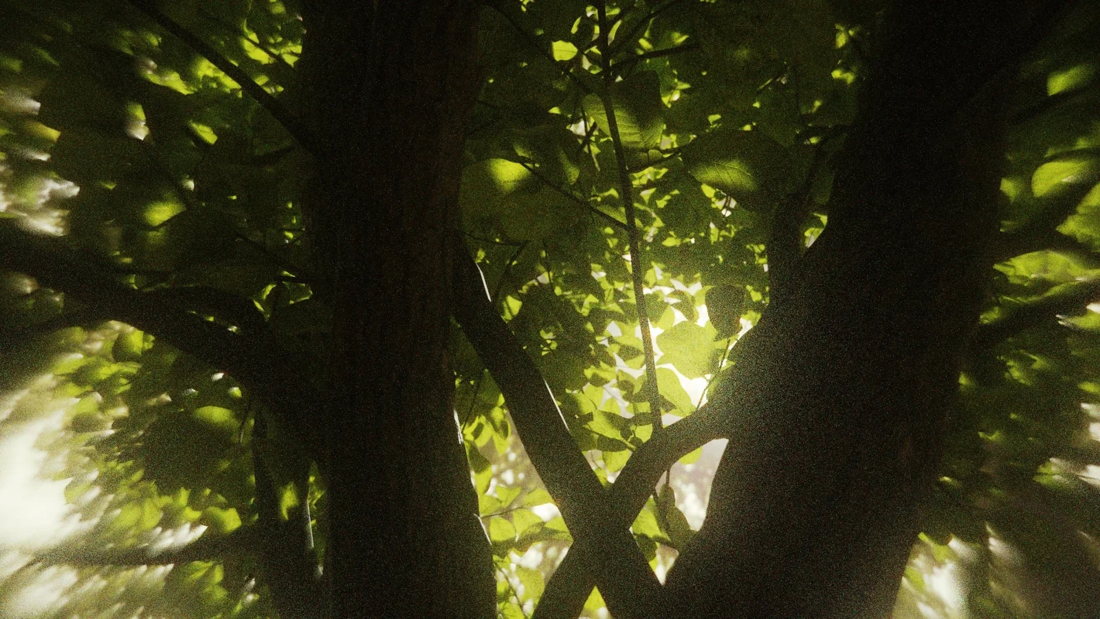 Virtual Camera screenshot 3