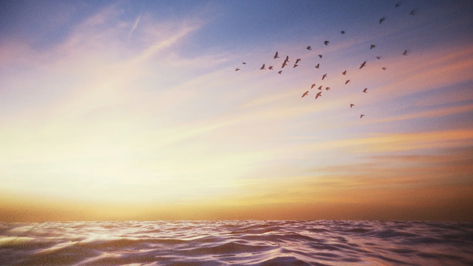 Virtual Camera screenshot 6