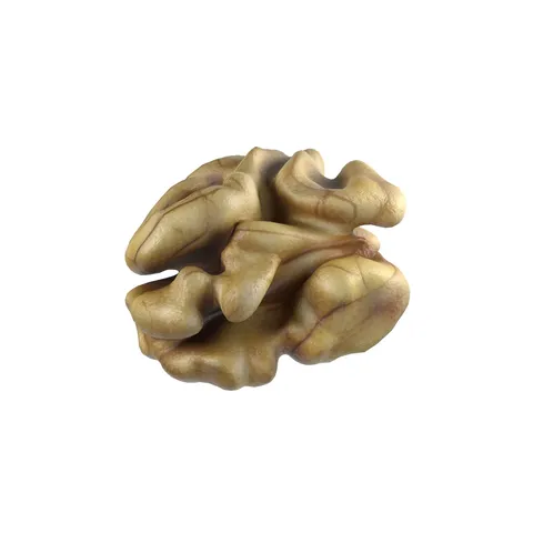 Walnut Kernel - Blender 3d models