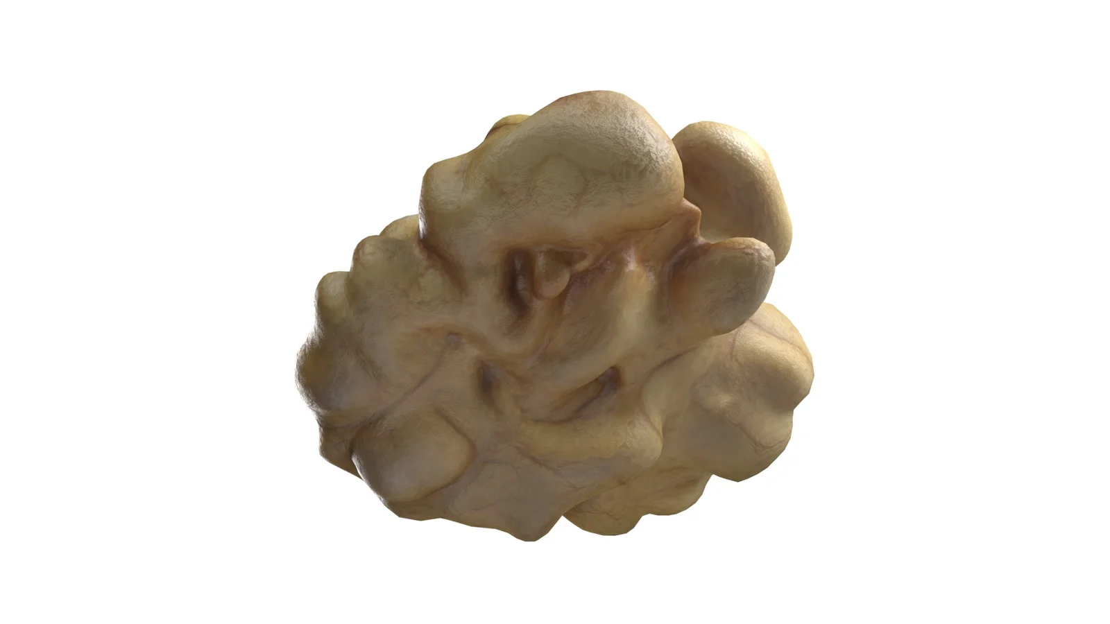 Walnut Kernel screenshot 6