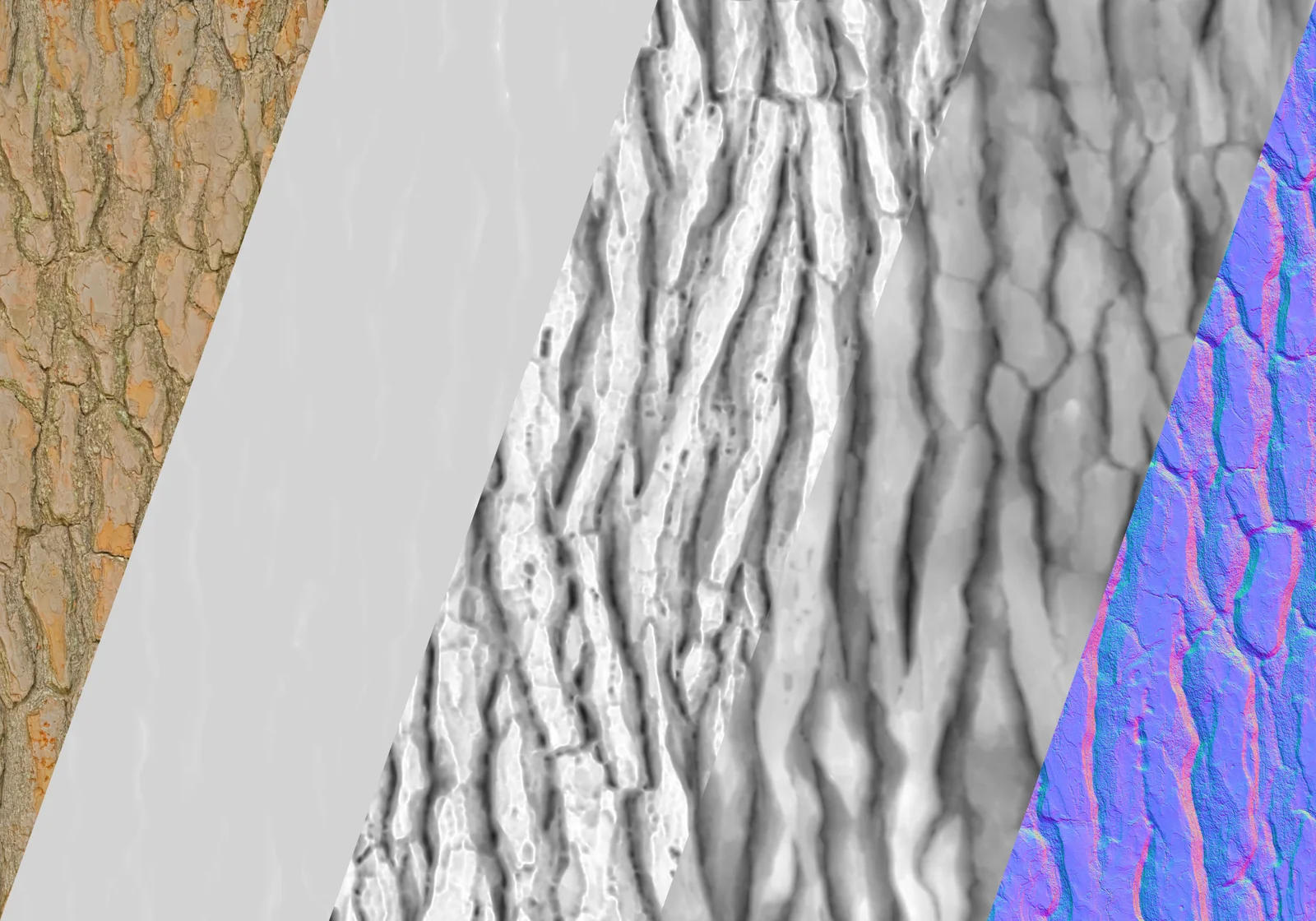 White Pine 1 screenshot 2