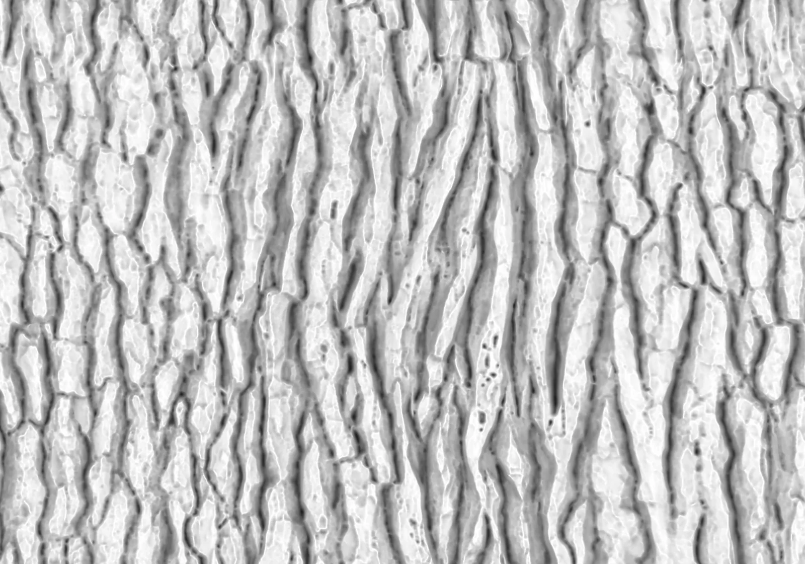 White Pine 1 screenshot 5