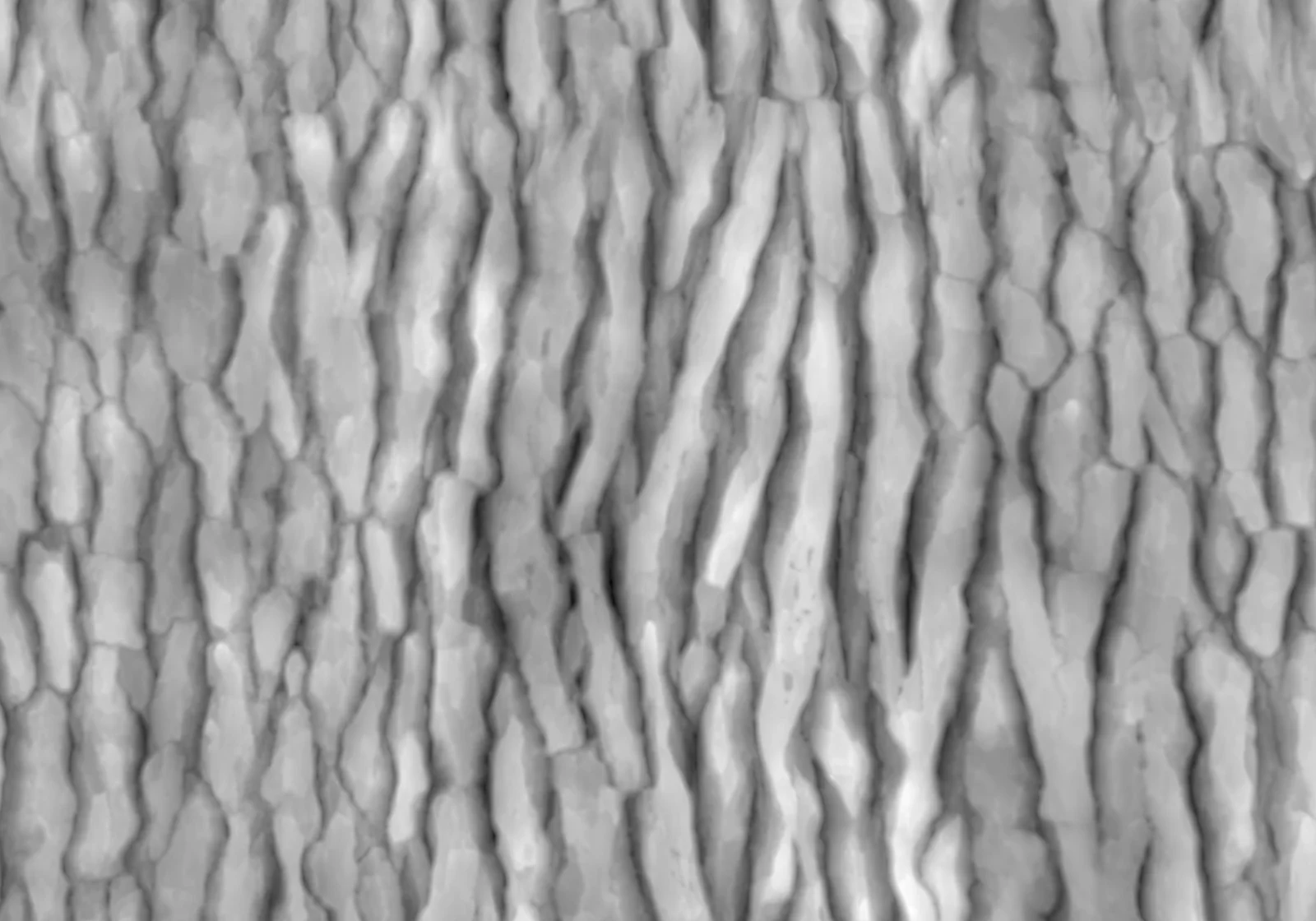 White Pine 1 screenshot 6