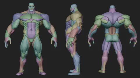 Wide Hero Anatomy Blockout - Blender 3d models