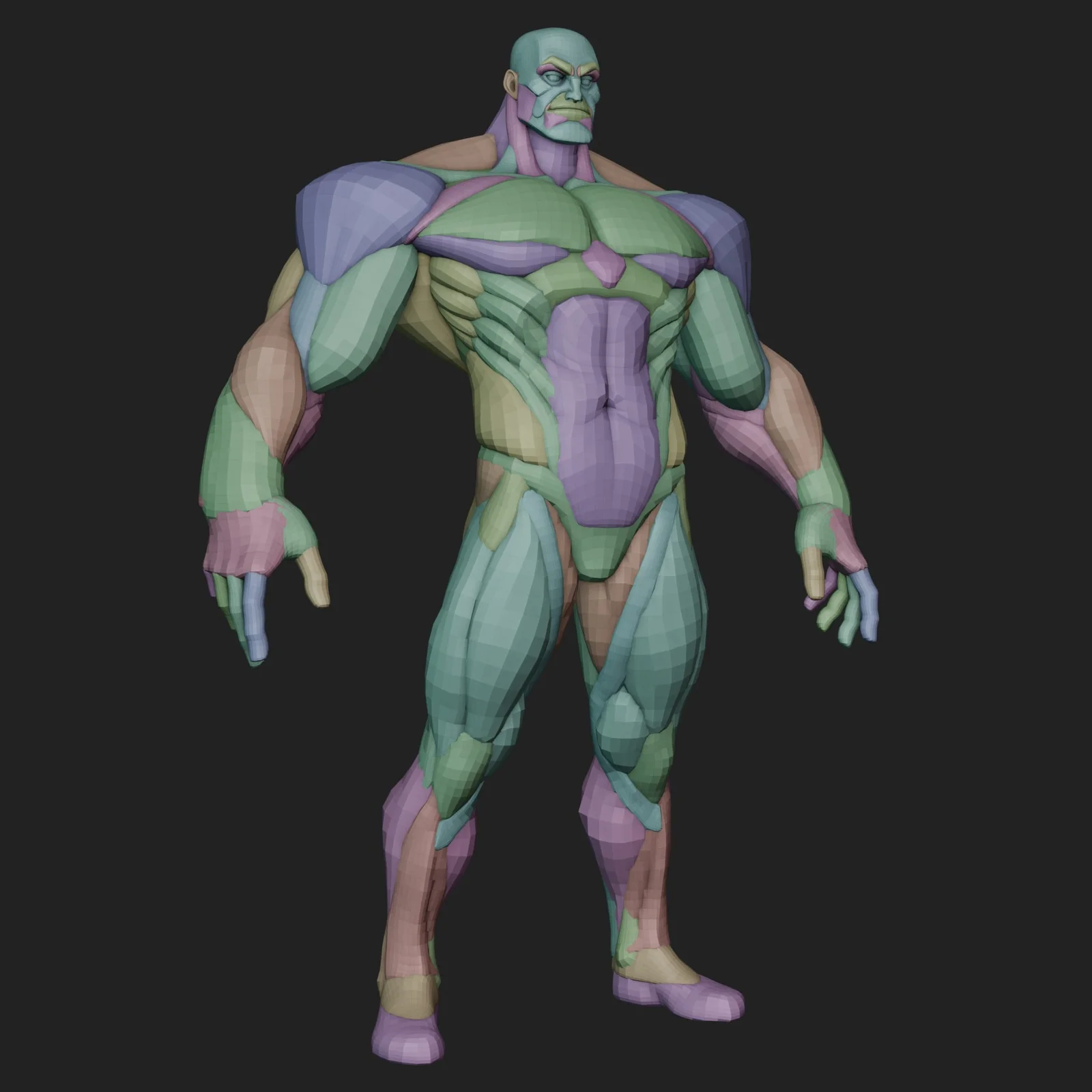 Wide Hero Anatomy Blockout screenshot 3