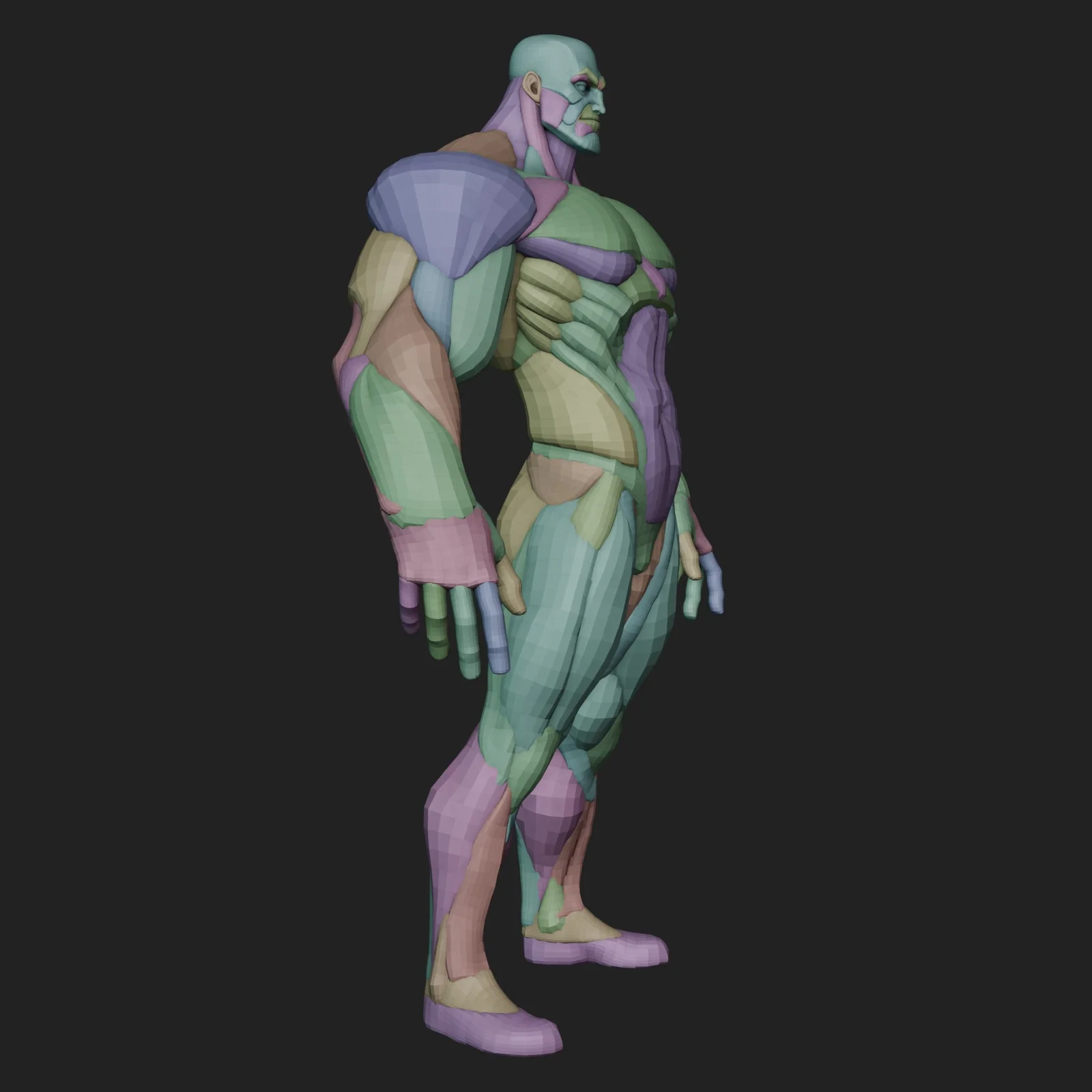 Wide Hero Anatomy Blockout screenshot 4