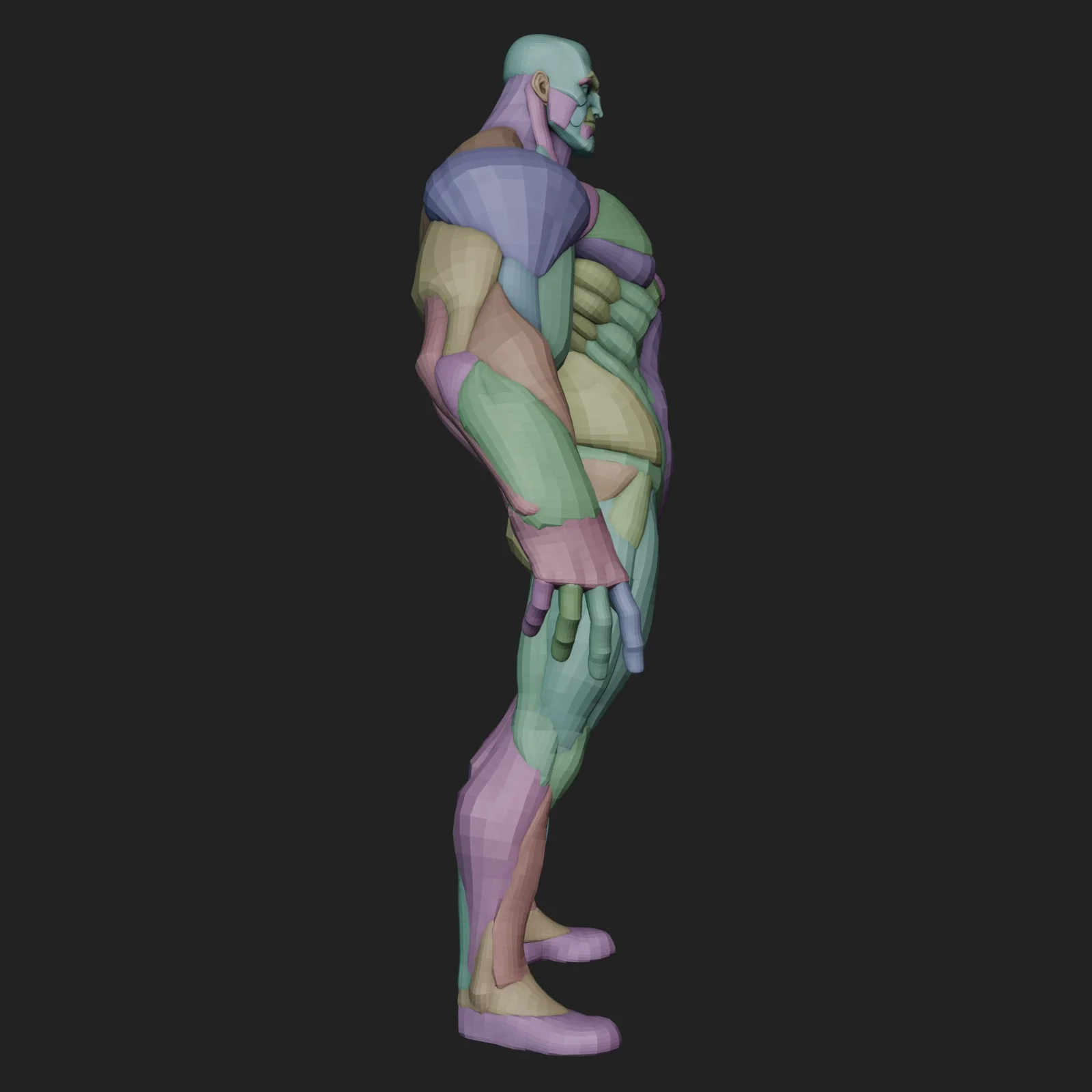 Wide Hero Anatomy Blockout screenshot 5
