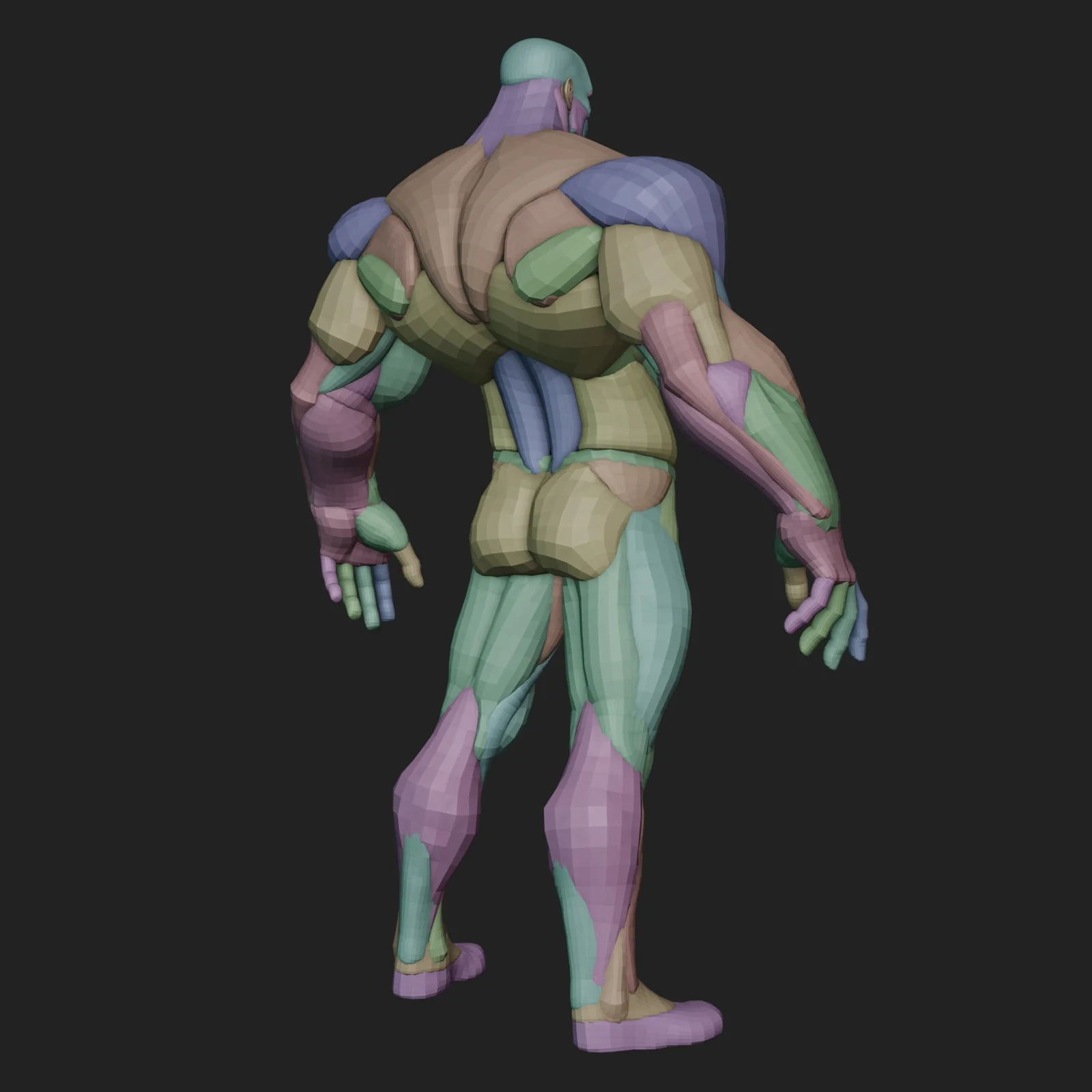 Wide Hero Anatomy Blockout screenshot 6