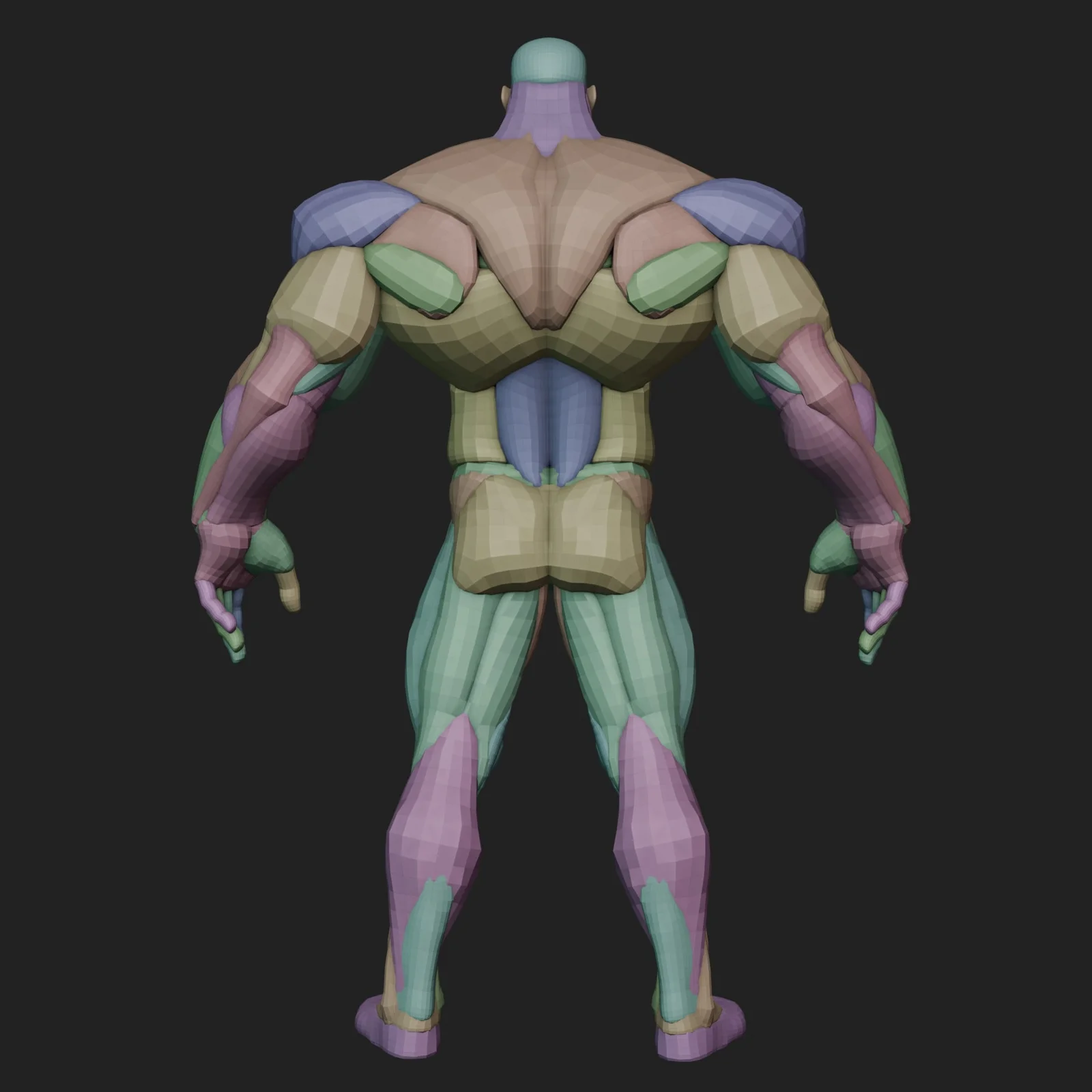 Wide Hero Anatomy Blockout screenshot 7