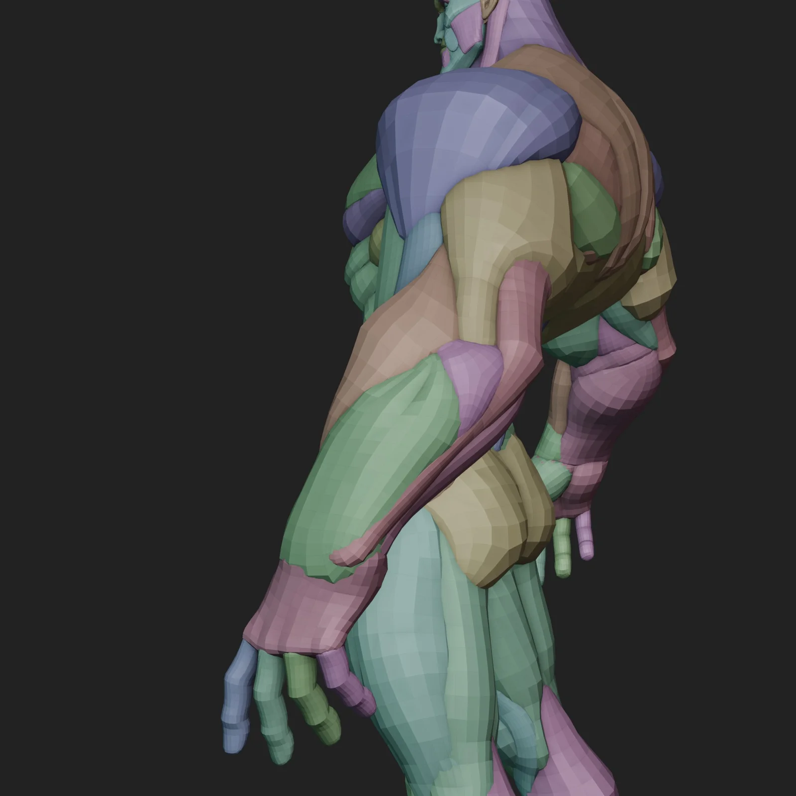 Wide Hero Anatomy Blockout screenshot 8