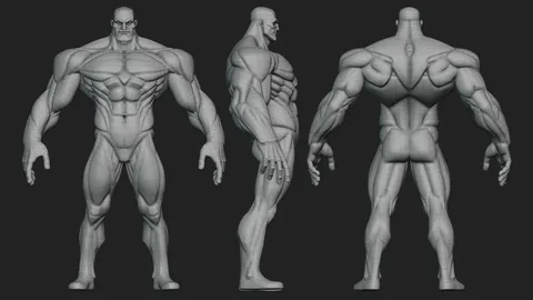 Wide Hero Basemesh - Blender 3d models