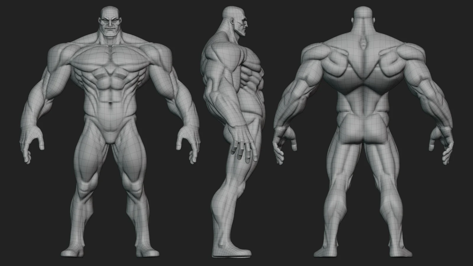 Wide Hero Basemesh screenshot 2