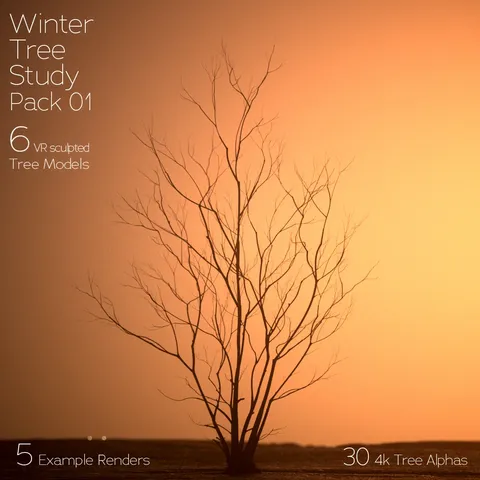 Winter Tree Study Pack - Blender 3d models
