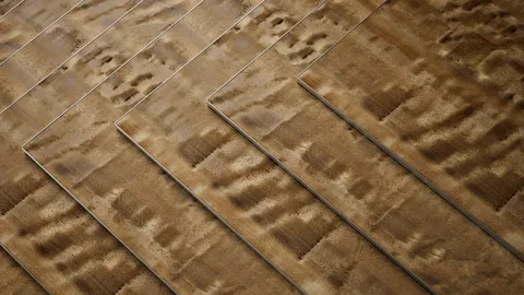 Eucalipto Frise Wood Textures - Blender textures & materials