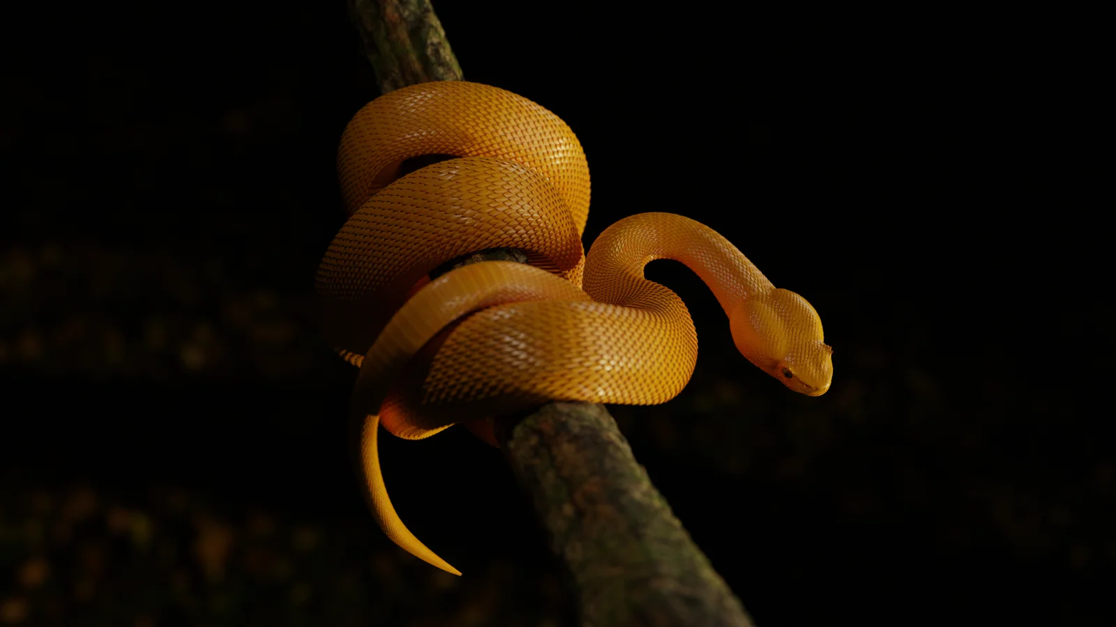 Yellow Viper Snake screenshot 3