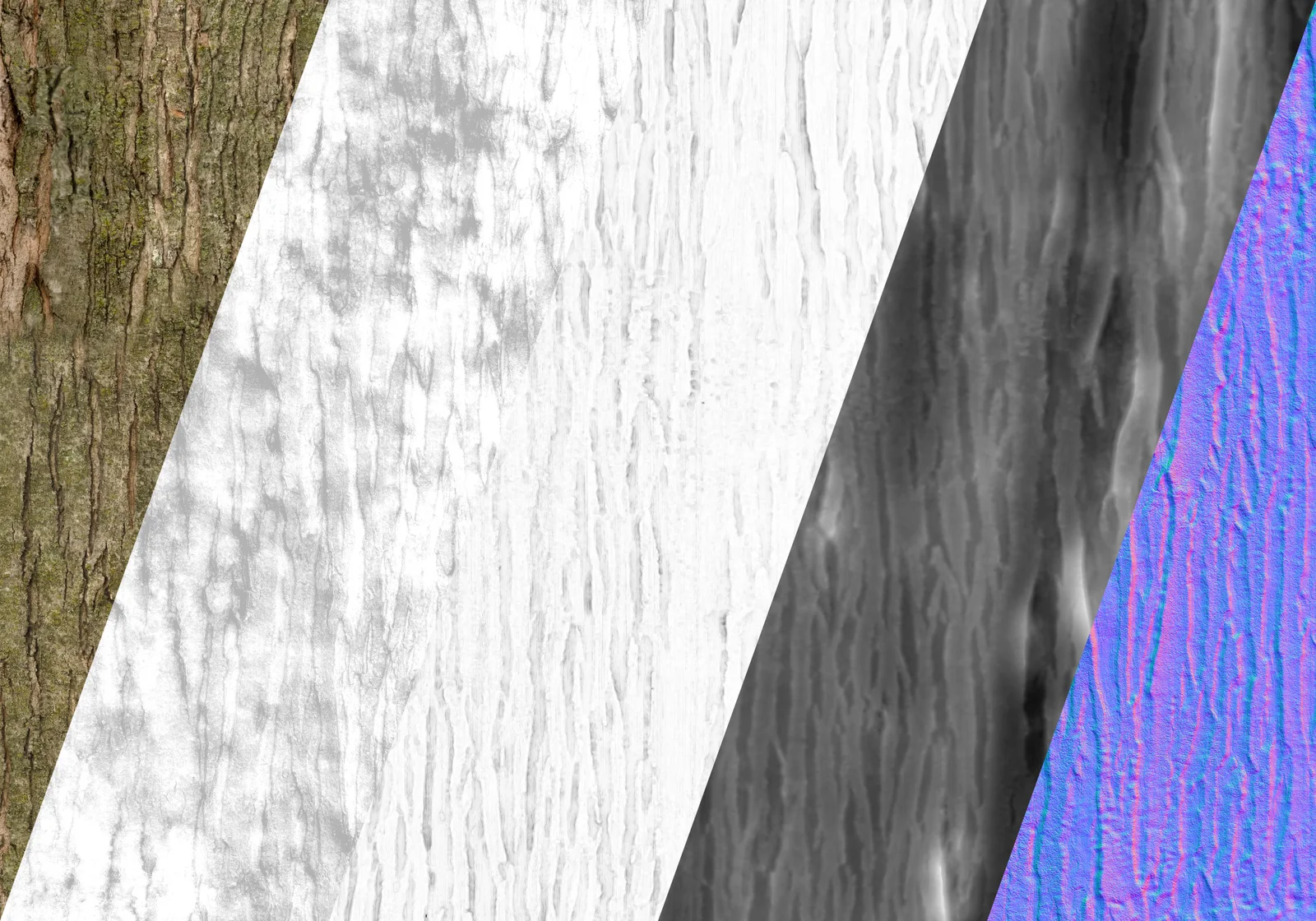 Young Maple Bark screenshot 3