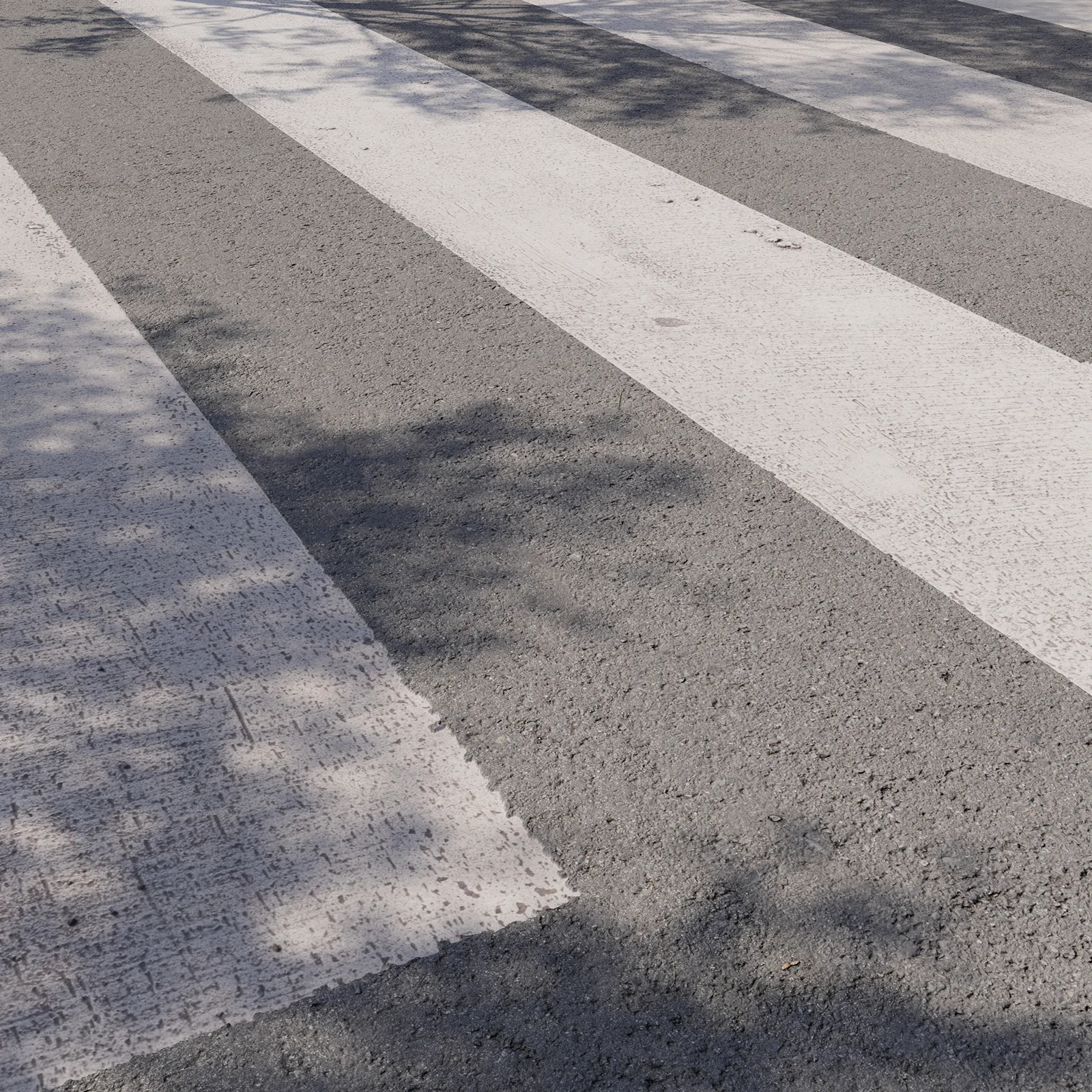 Zebra Crossing screenshot 3